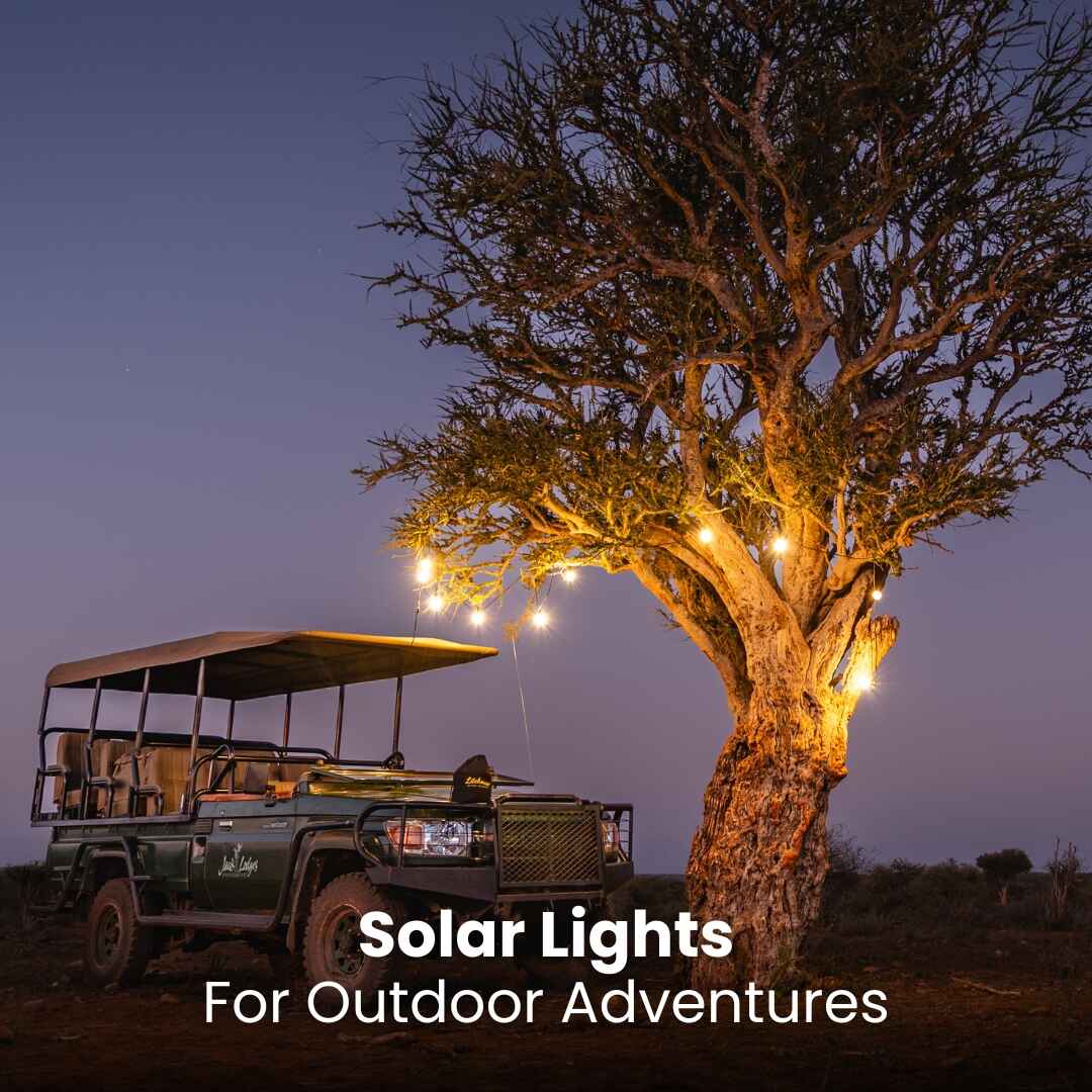 Solar Festoon Bulb String Lights - Traditional Bulbs, Black - Litehouse