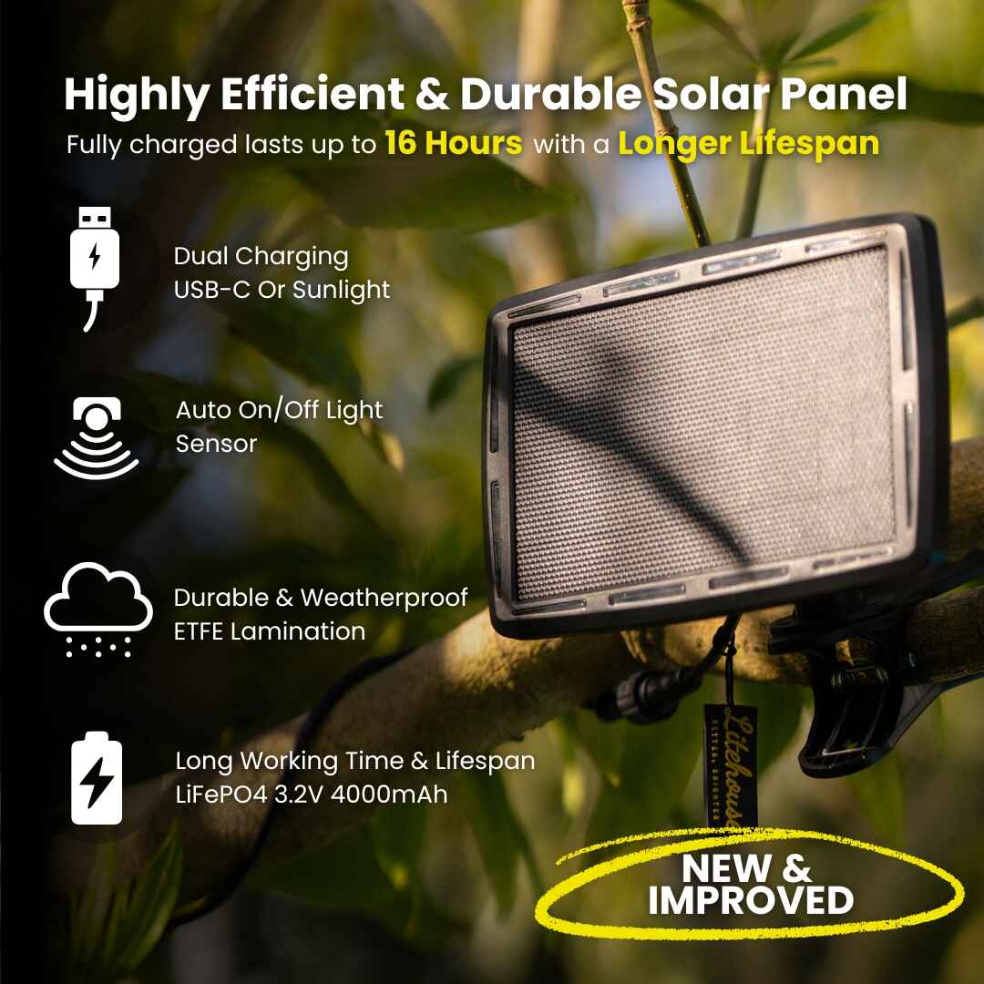 Solar Festoon Outdoor Bulb String Lights - Traditional LED Bulbs, Black - Litehouse